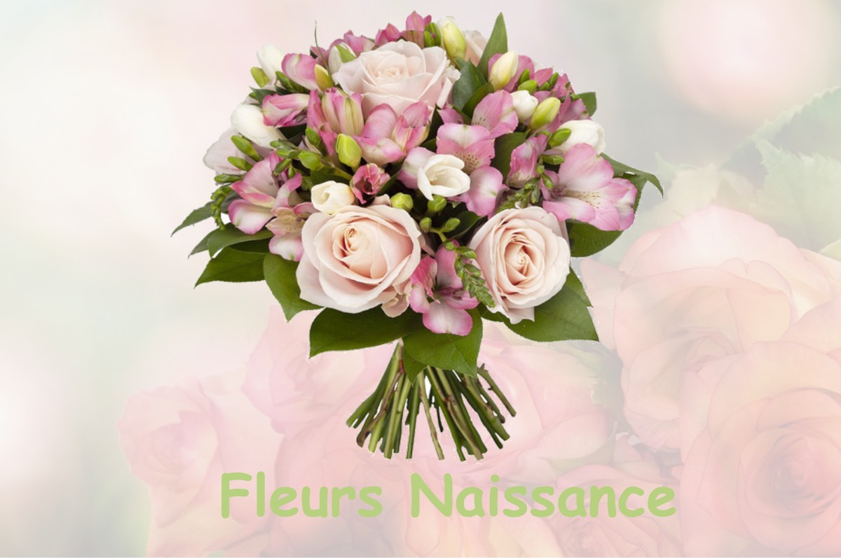 fleurs naissance SILLANS