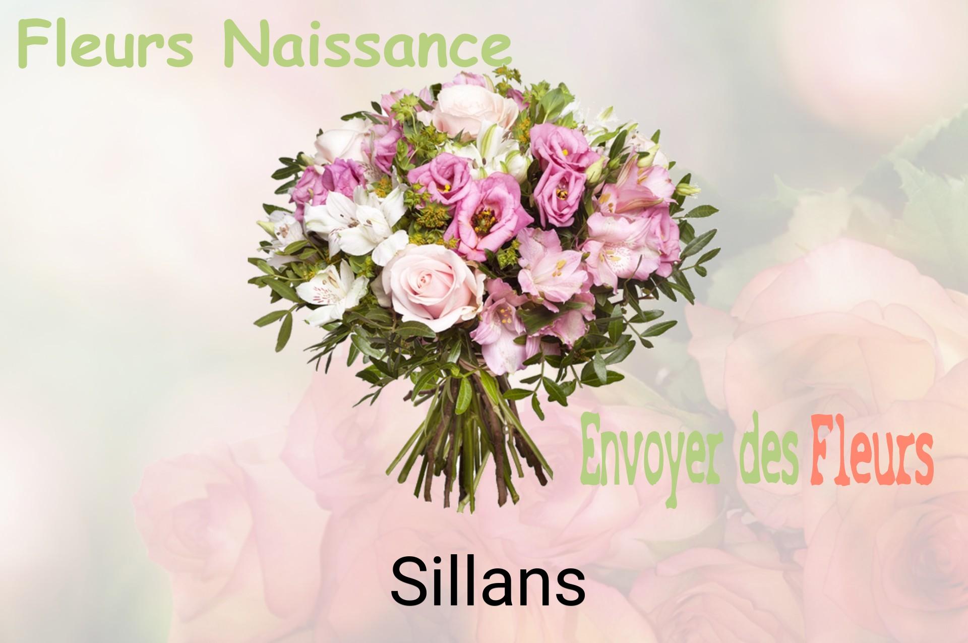 Bouquet de fleurs de naissance livré à Sillans