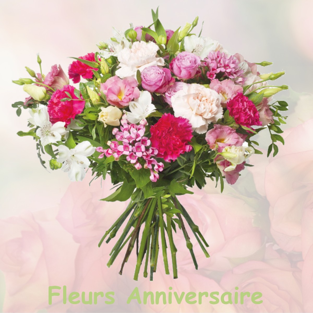 fleurs anniversaire SILLANS