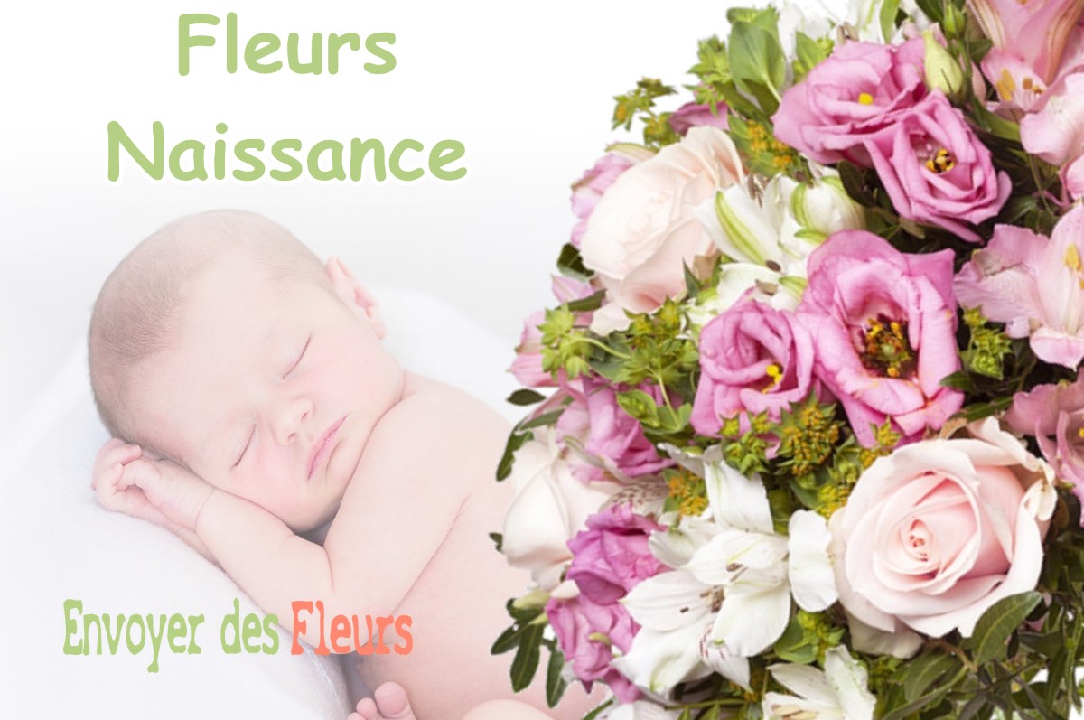 lIVRAISON FLEURS NAISSANCE à SILLANS