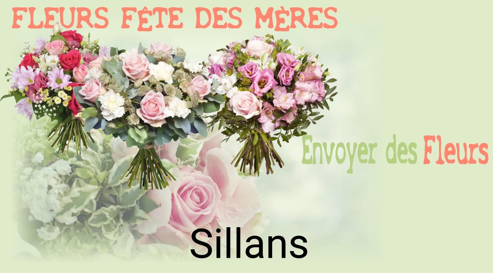 Bouquet de Fête des Mères livré à Sillans